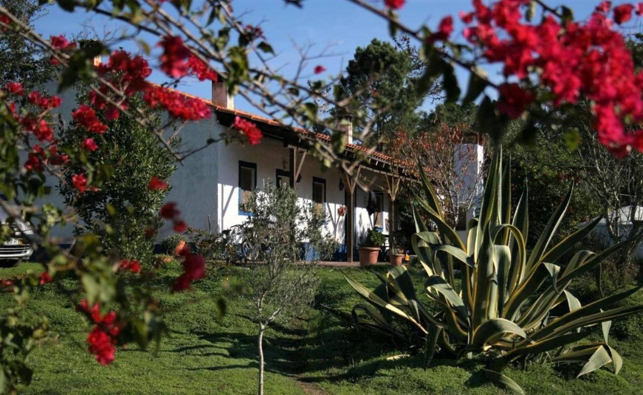 Monte Da Choca Konuk evi São Teotónio Dış mekan fotoğraf